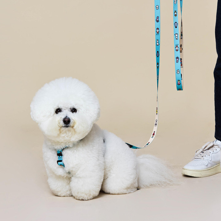 플로트X제로퍼제로 스탠다드 리드줄 2M 민트베이지