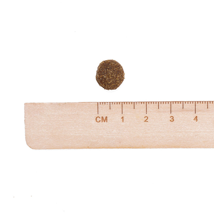 go! 솔루션 웨이트 매니지먼트 치킨 레시피 5.4kg