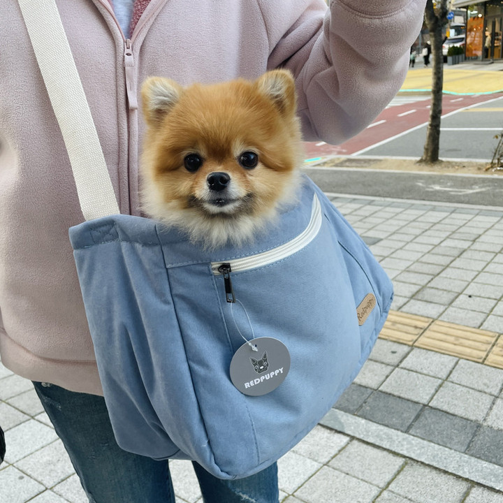 개과천선 카소 강아지 슬링백 이동가방 블루스카이