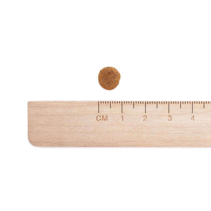 뉴트리나 건강백서 비숑 2kg