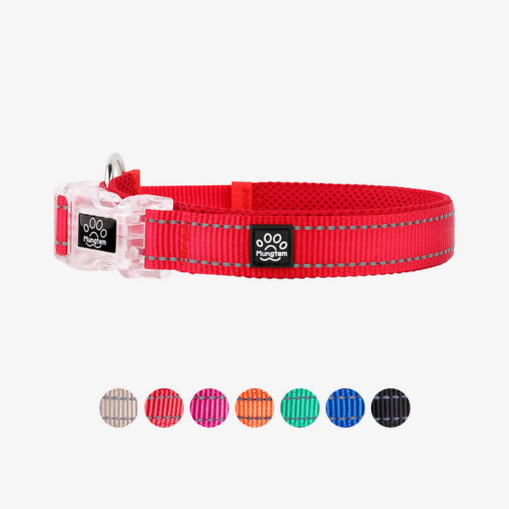 멍템 메쉬 목줄