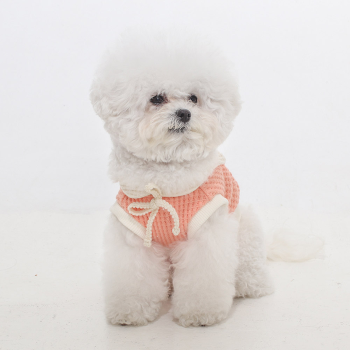 에덴숑 세일러 칼라 니트 오렌지