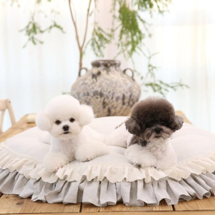 리토가토 하니 프릴 러그 그레이