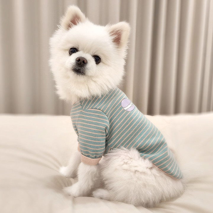 펫츠랜드 달콤 티셔츠 민트