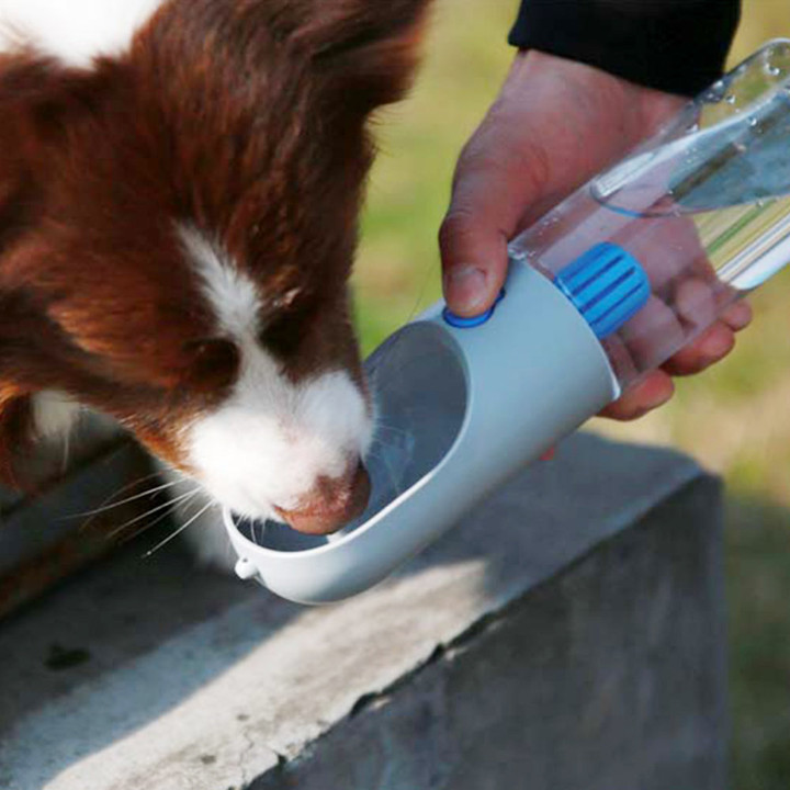 펫킷 에버스윗 이동물병 300ml 그레이