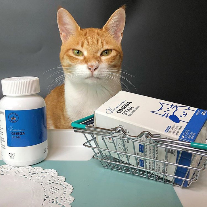 멍냥이랑 오메가스타 60정