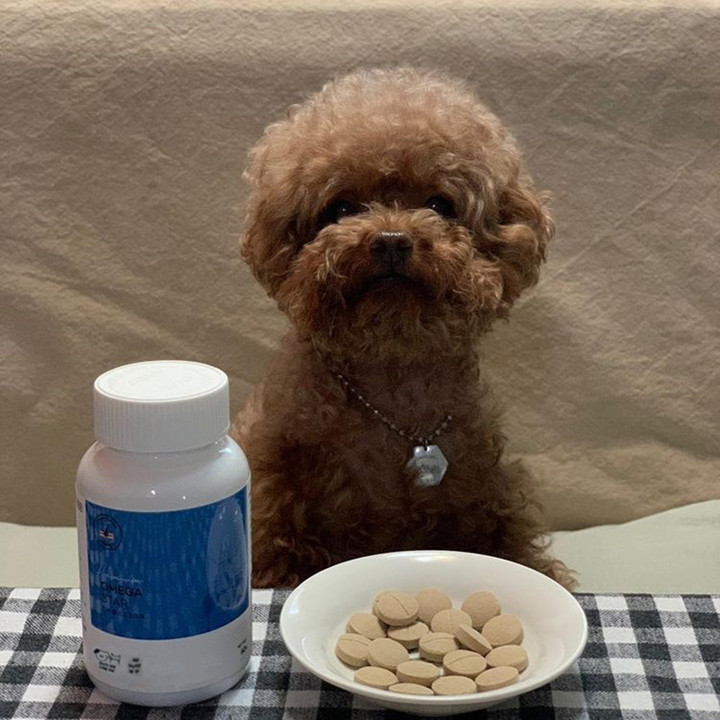 멍냥이랑 오메가스타 60정