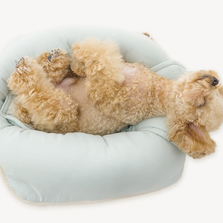 펫츠랜드 강아지 방석겸용 가방 포밍베딩백 오트밀크 M/L