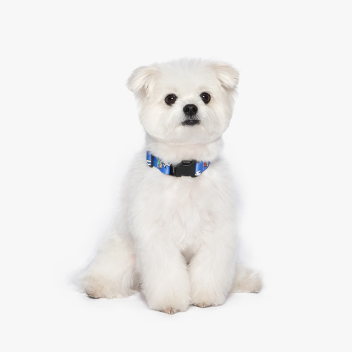 베럴즈 호즈미 베이비 엔젤 마틴게일 목줄 블루