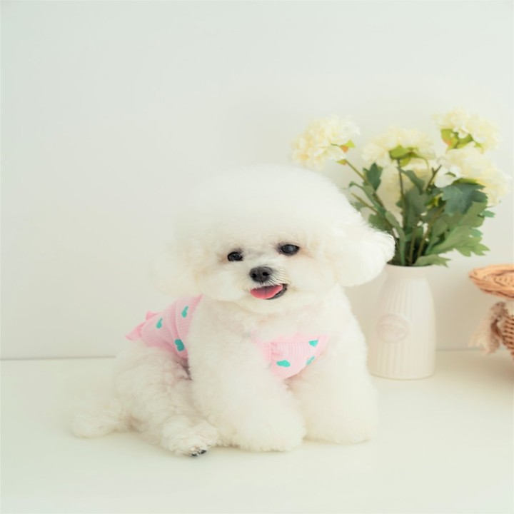 펫츠랜드 러브 프릴 나시티 핑크