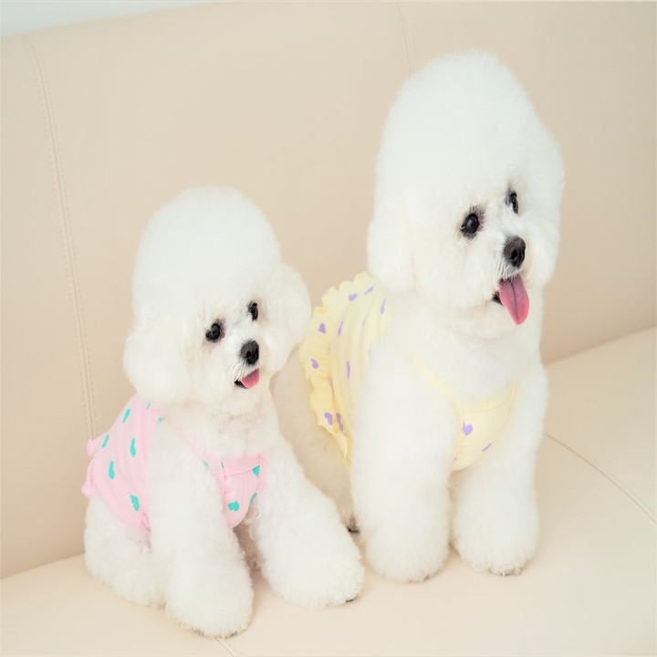 펫츠랜드 러브 프릴 나시티 핑크