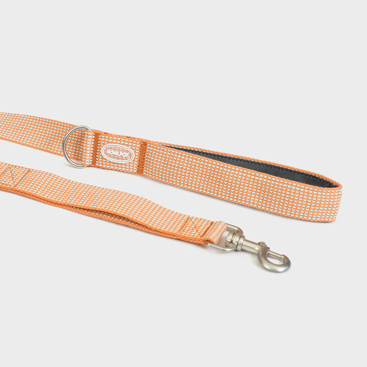 하울팟 HCC 라지클럽 리쉬 오렌지