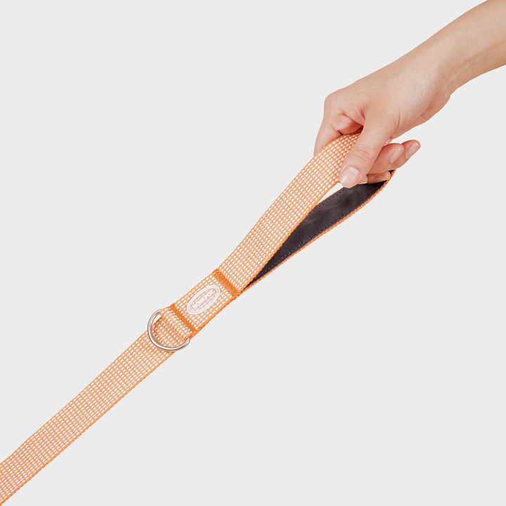 하울팟 HCC 라지클럽 리쉬 오렌지