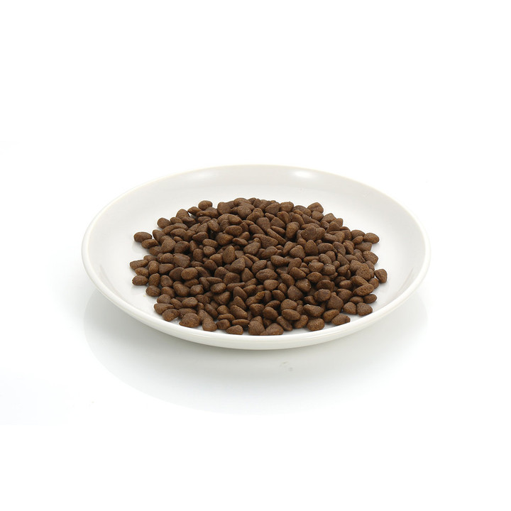 알파벳 J 주니어 1.2kg