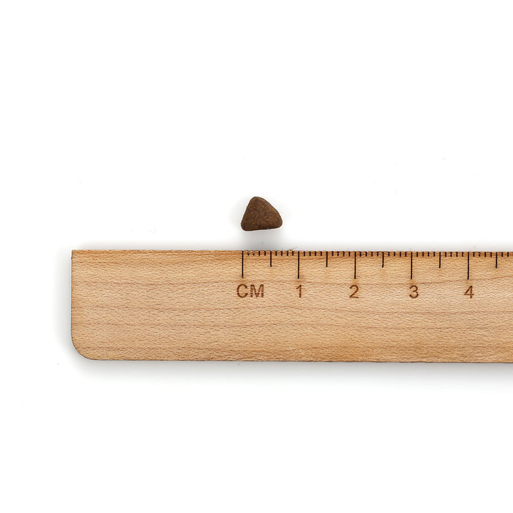 알파벳 J 주니어 1.2kg