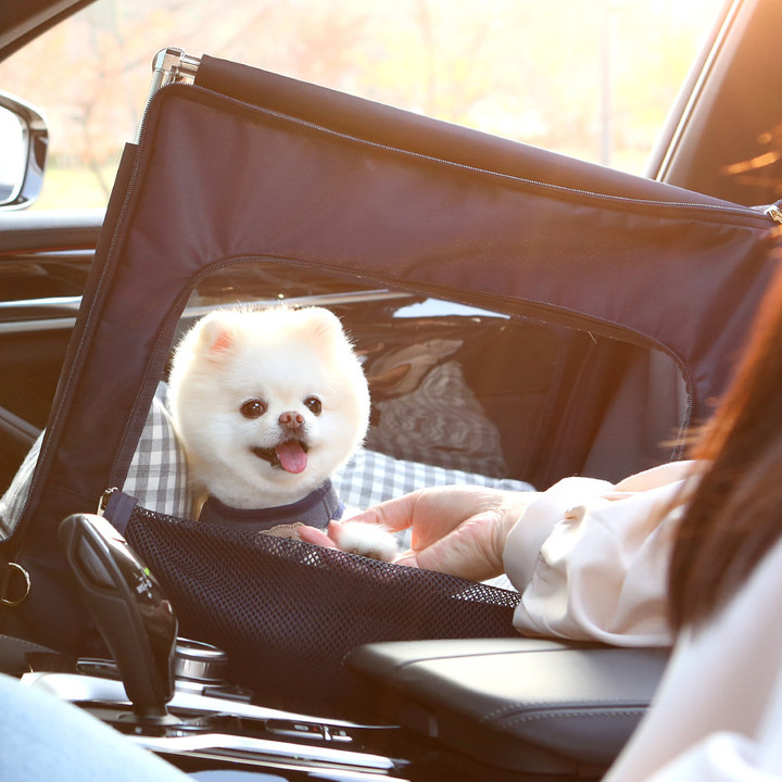 이츠독 올 뉴 투웨이 카시트 네이비