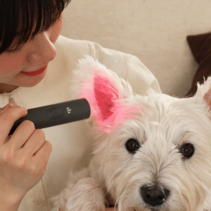 제디 UV펫큐어라이트 반려동물 염증케어 광선조사기