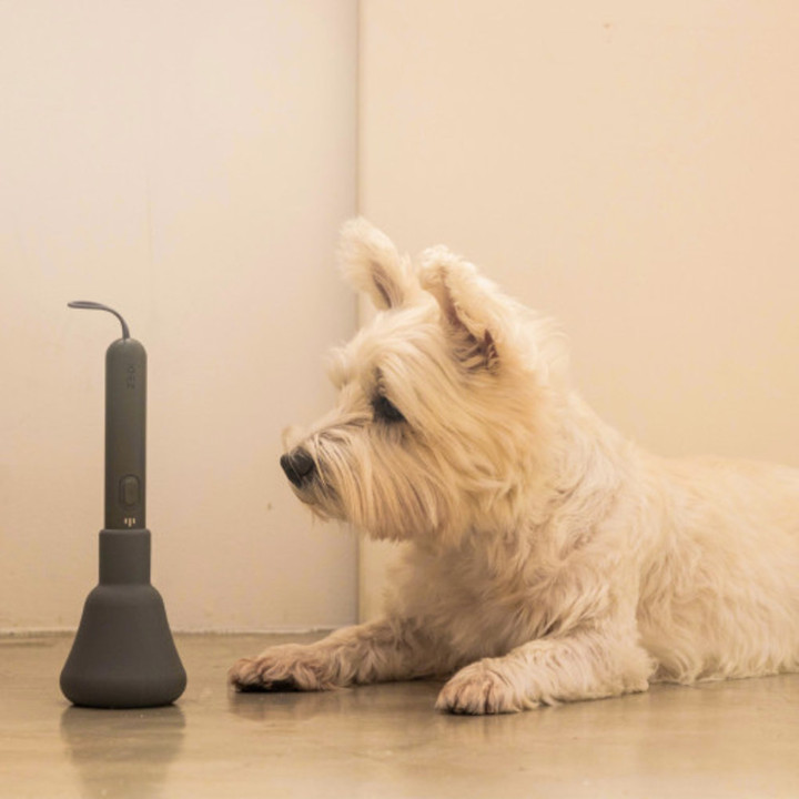 제디 UV펫큐어라이트 반려동물 염증케어 광선조사기