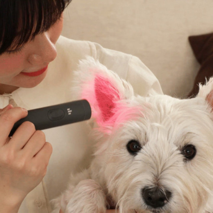 제디 UV펫큐어라이트 반려동물 염증케어 광선조사기