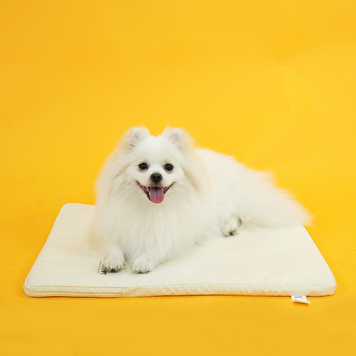 개과천선 디넬매트 다크블루