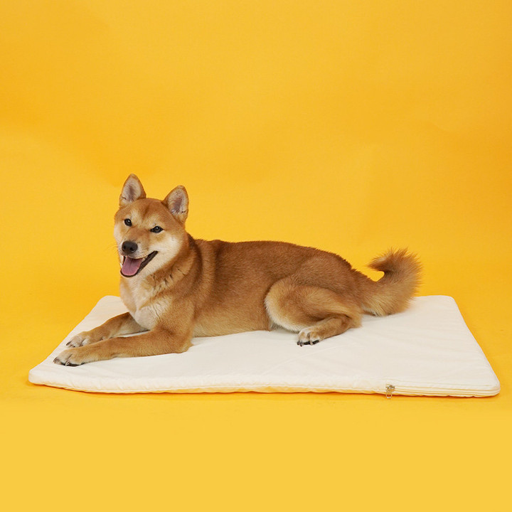 개과천선 디넬매트 다크블루