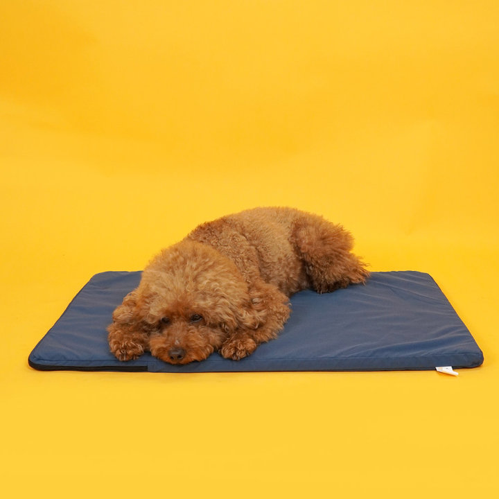 개과천선 디넬매트 다크블루