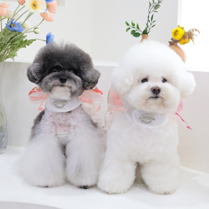 에덴숑 노블 워크 하네스 화이트