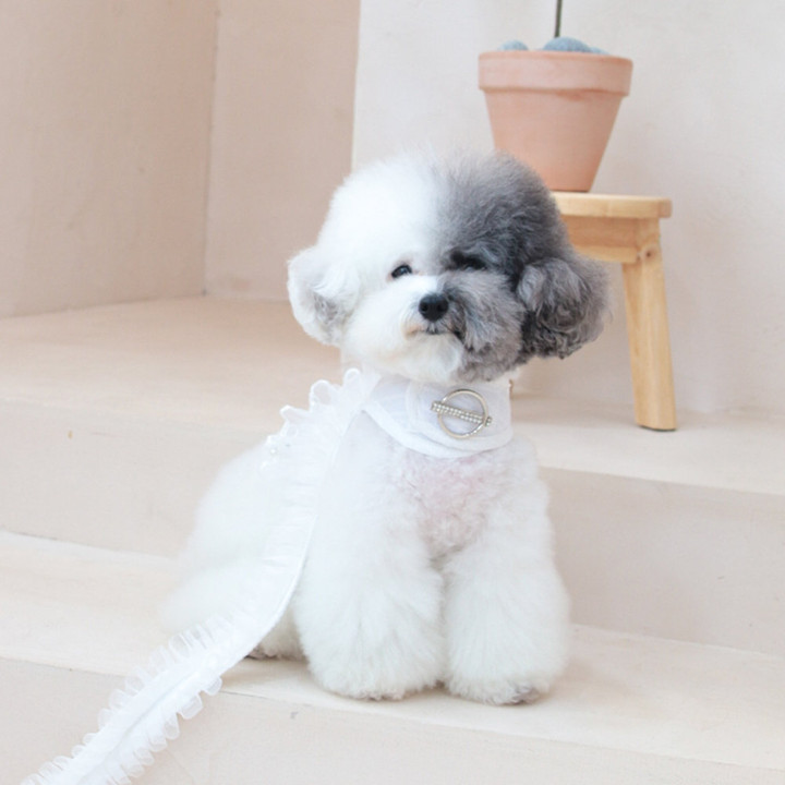 에덴숑 노블 워크 하네스 화이트