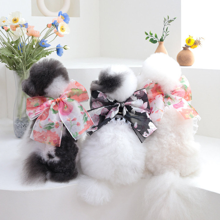 에덴숑 노블 워크 하네스 화이트