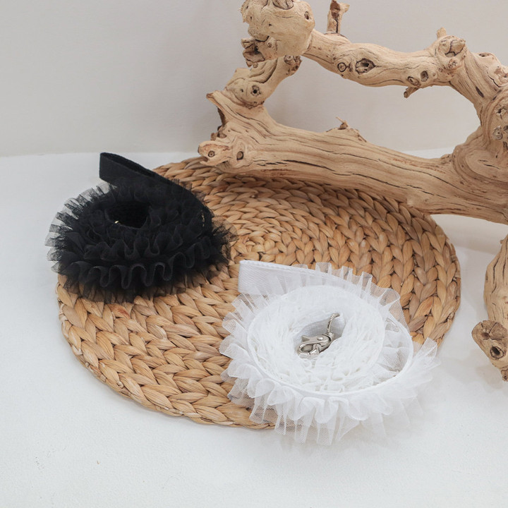 에덴숑 노블 리시 2color