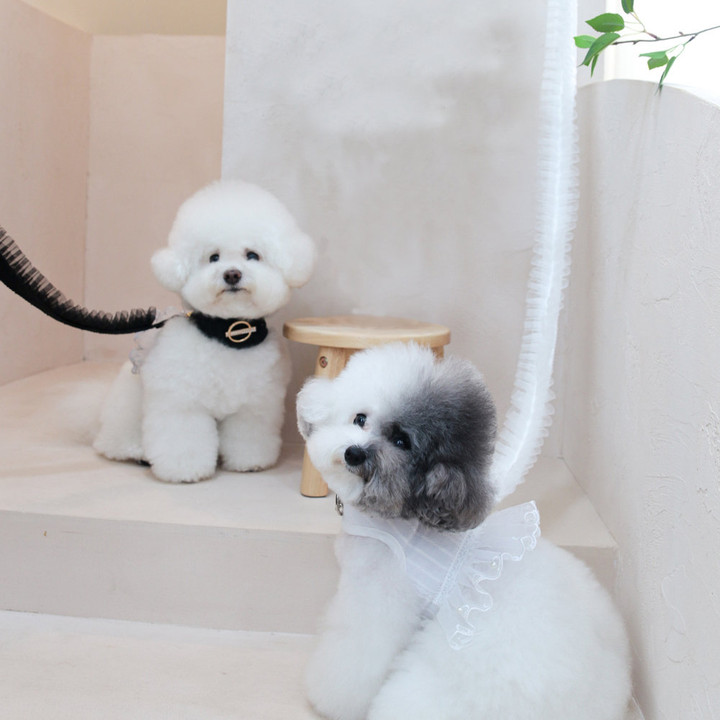 에덴숑 노블 리시 2color