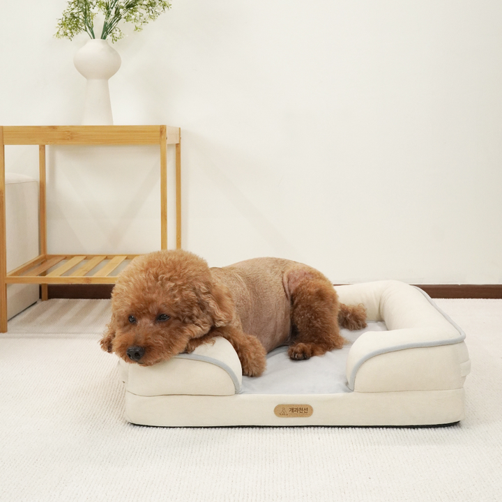 개과천선 시티방석 소프트아이보리