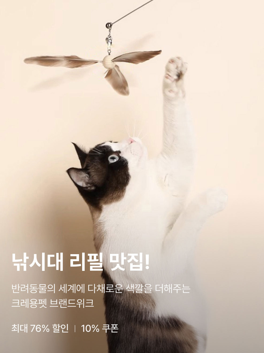 크레용펫 브랜드위크