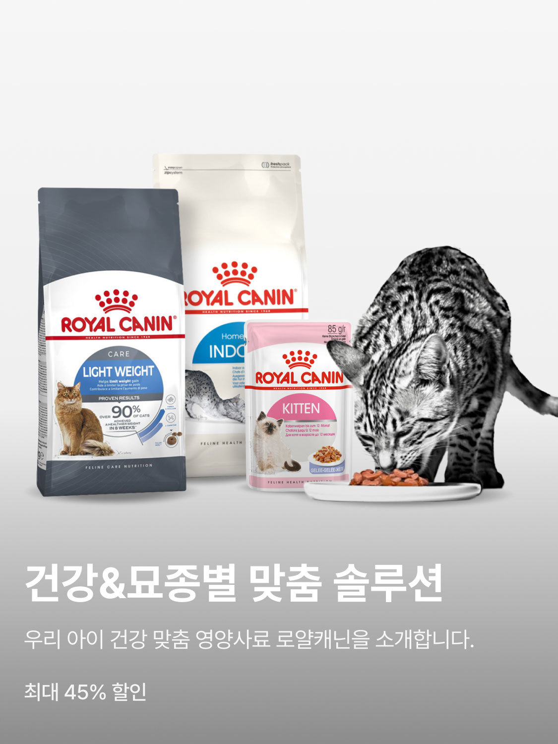 로얄캐닌 브랜드전