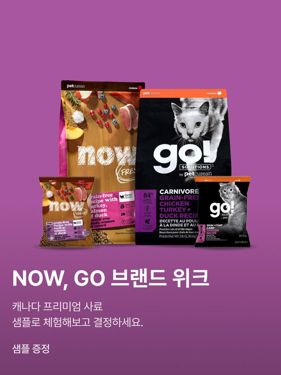 now,go 브랜드 위크