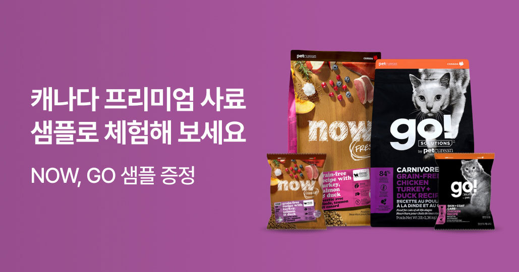 now,go 브랜드 위크