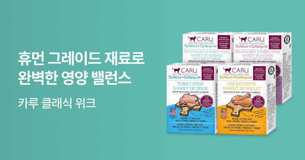 카루 브랜드 위크