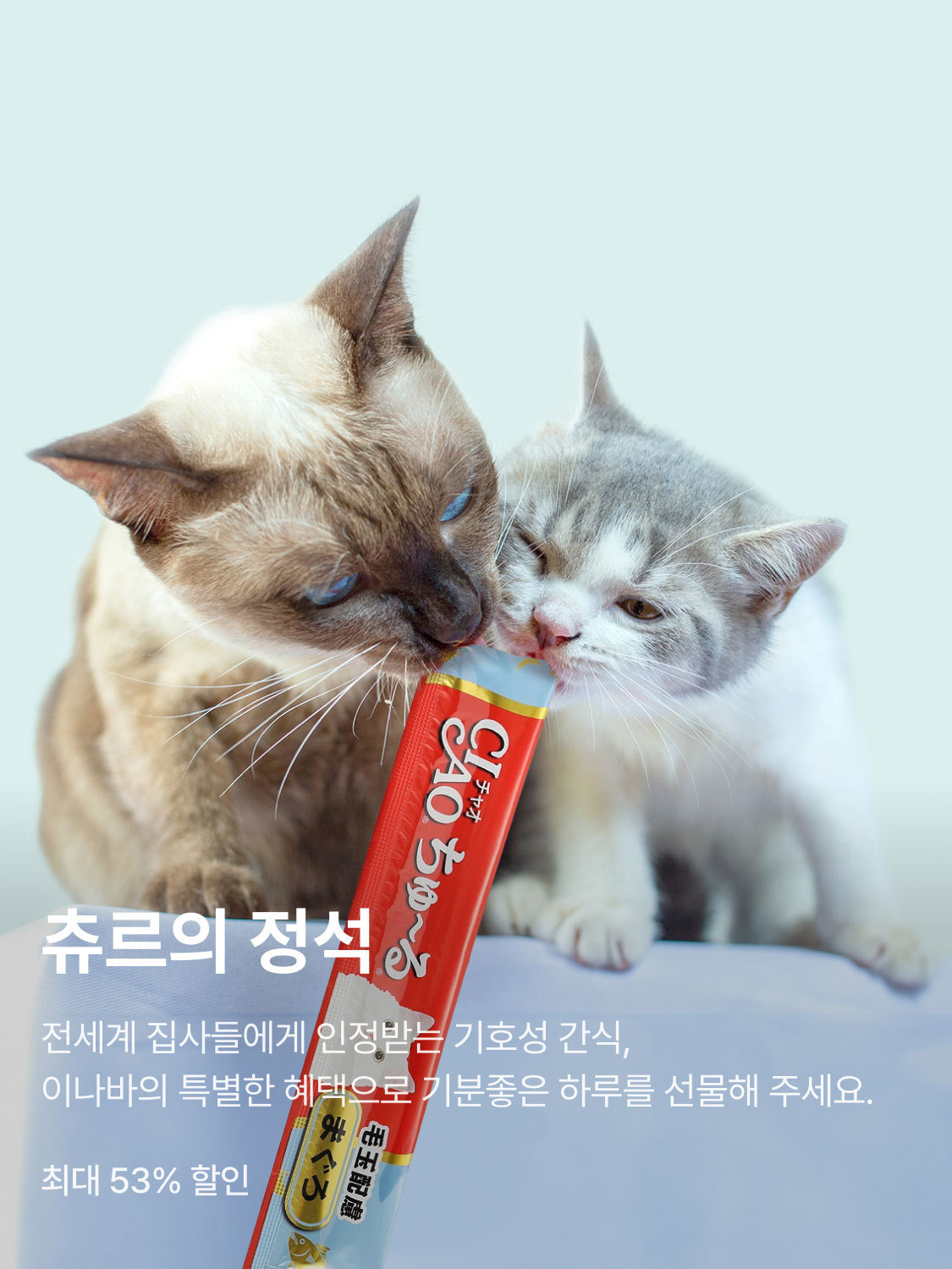 이나바 브랜드전