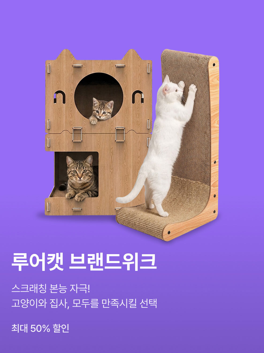 스크래칭 본능 자극! 루어캣