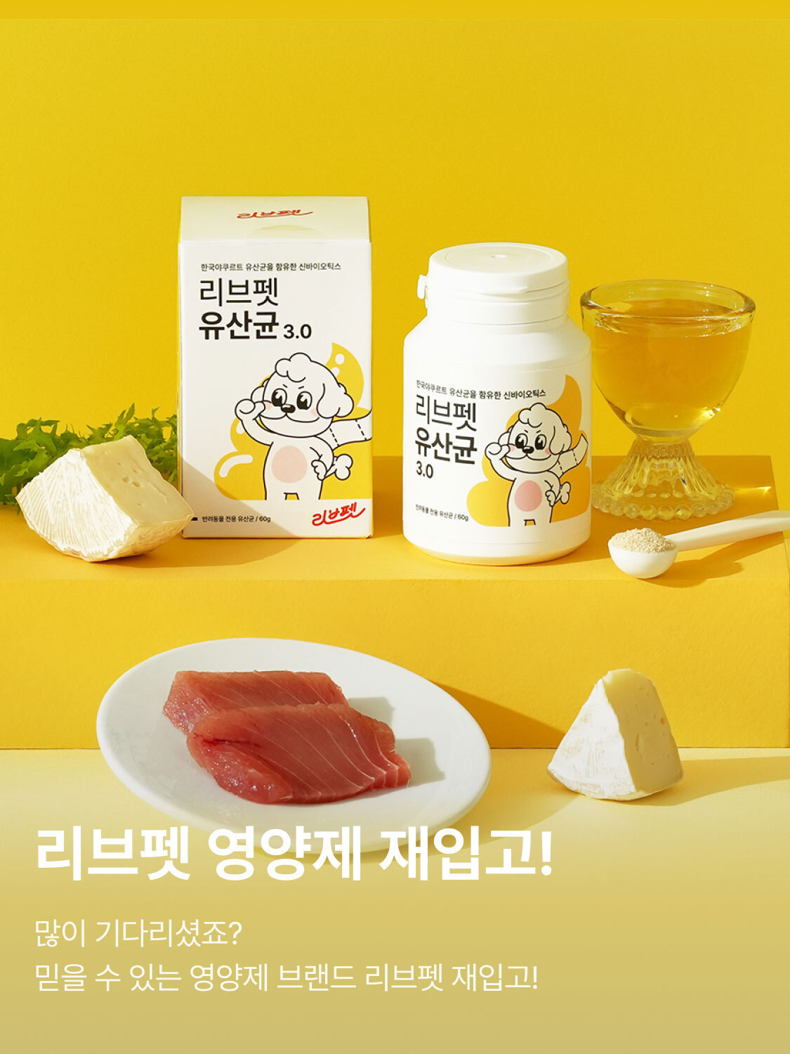 리브펫 영양제 재입고 이벤트!