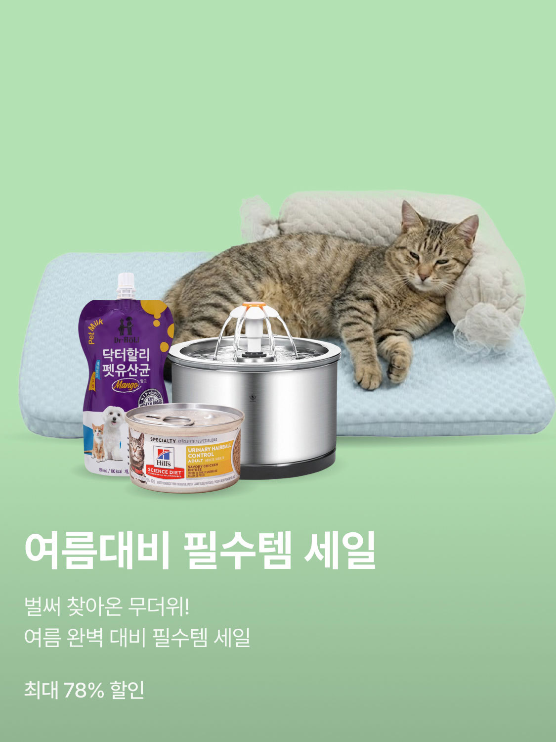 여름대비 필수템