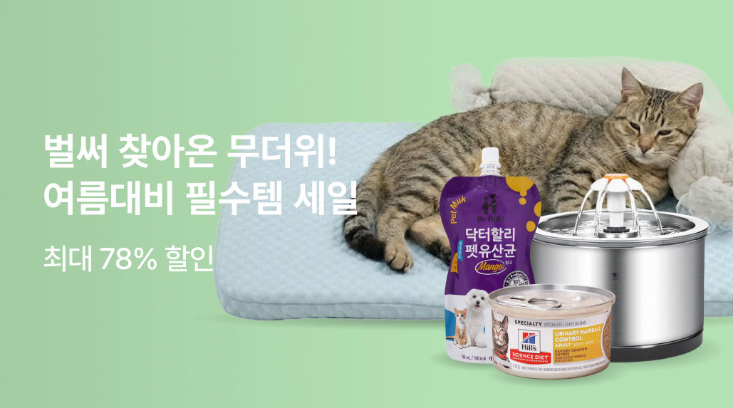 여름대비 필수템