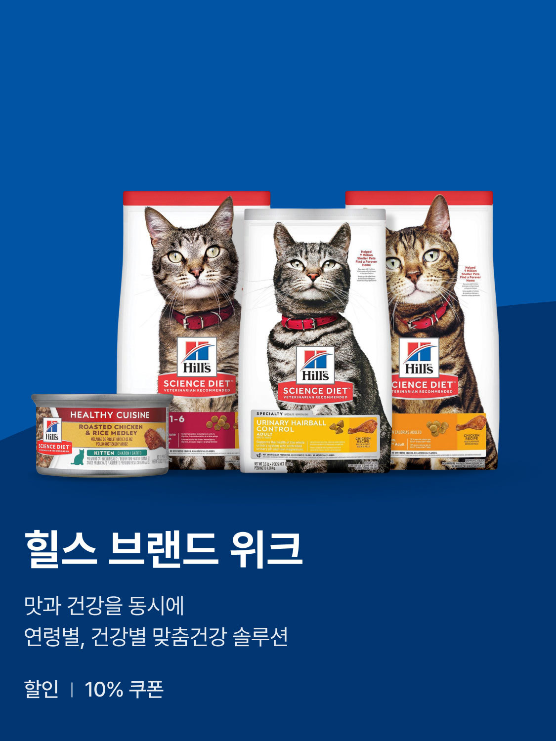 힐스 브랜드전