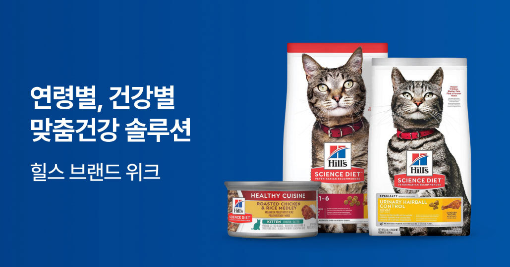 힐스 브랜드전