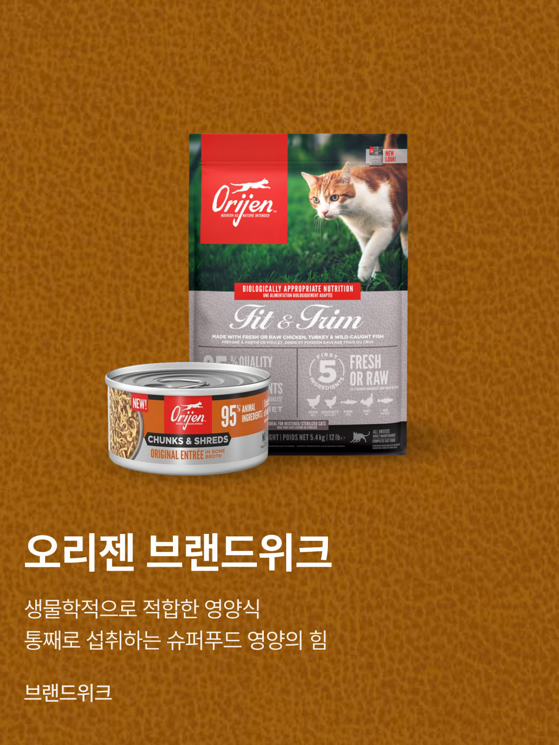 오리젠 브랜드위크