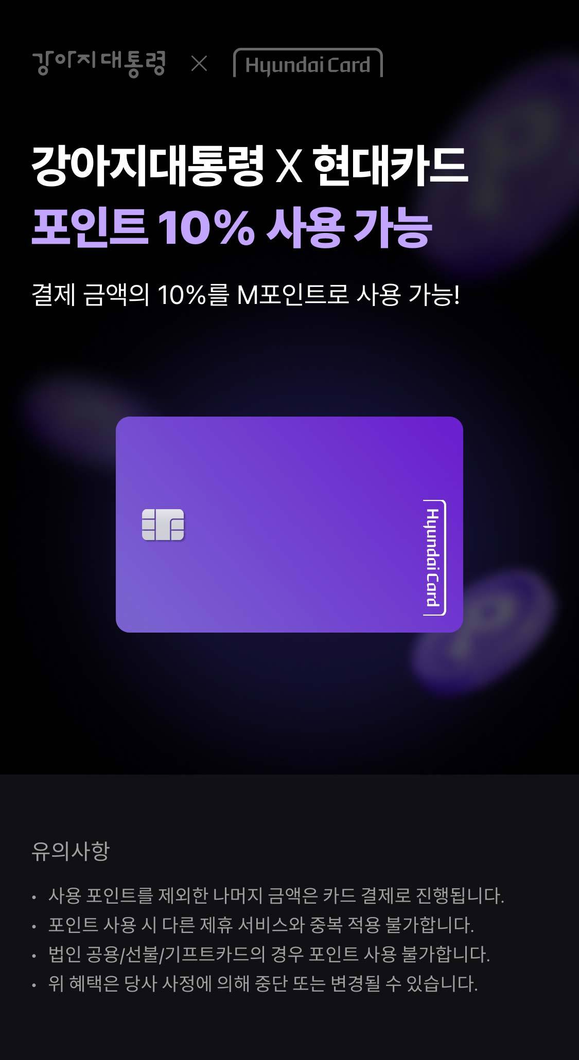 강아지대통령 X 현대카드