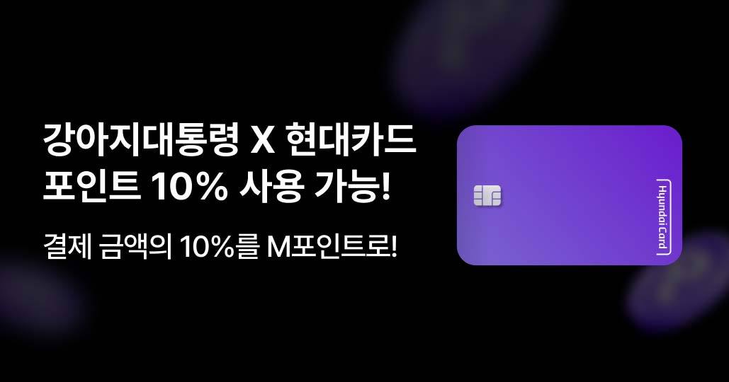 강아지대통령 X 현대카드