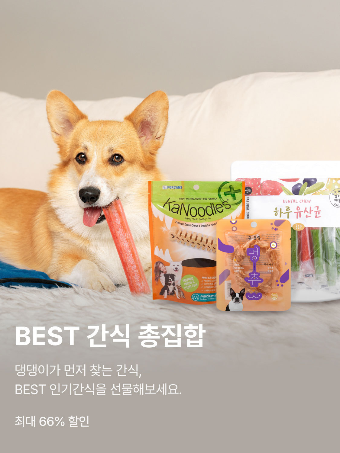 BEST 인기간식 총집합
