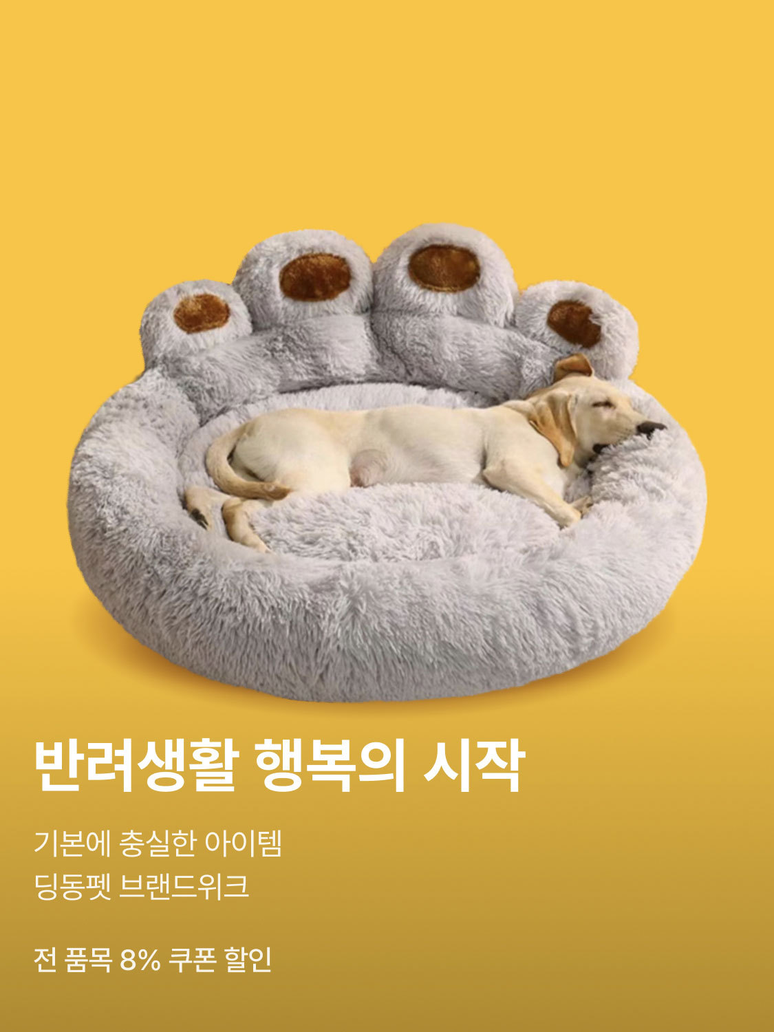 딩동펫 브랜드위크