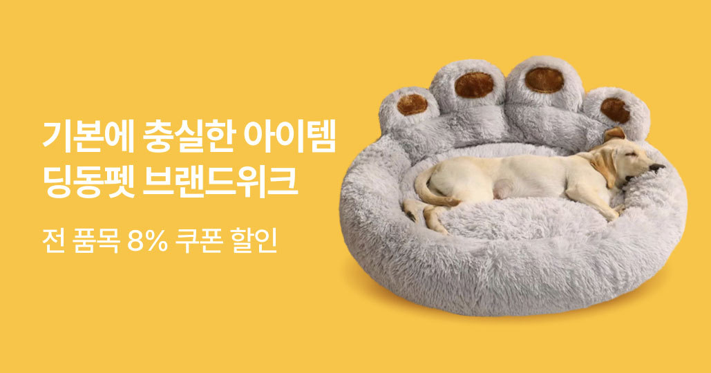 딩동펫 브랜드위크